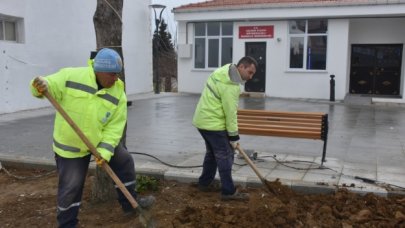 Büyükkılıçlı çiçek açtı