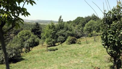 Eyüpsultan Belediyesi'nden "Ekolojik Yaşam Çiftliği" projesi