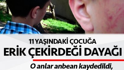 Erik çekirdeğini taş zanneden adam 11 yaşındaki çocuğu dövdü! Video izle