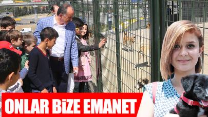 Onlar bize emanet