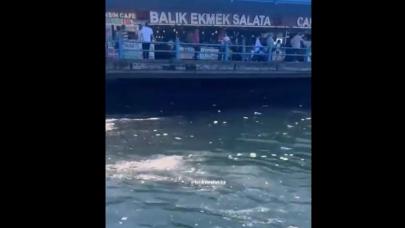 Eminönü’nde denizin kirliliği dikkat çekti!