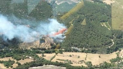 Bergama'da yangın çıktı! Havadan ve karadan müdahale başlatıldı