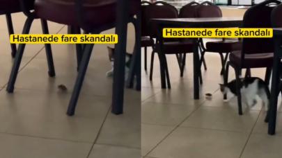 Hastanede fare krizi! O anlar böyle kaydedildi