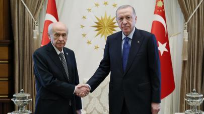 Cumhurbaşkanı Erdoğan, Bahçeli'yi kabul etti