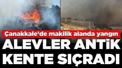 Çanakkale'de makilikte çıkan yangın hızla büyüdü, Assos Antik Kenti'ne ulaştı: Havadan ve karadan müdahale