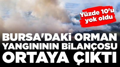 Bursa'daki orman yangınının acı bilançosu ortaya çıktı: Yüzde 10'u yok oldu