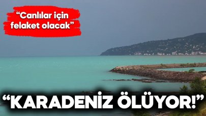 Uzmanından korkutan uyarı: 'Sürekli ısınan Karadeniz ölüyor'