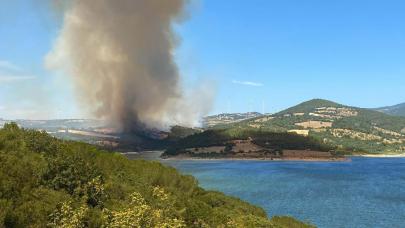 Çanakkale'deki orman yangınında 2'nci gün