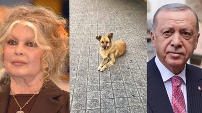 Ünlü oyuncu Brigitte Bardot Erdoğan'a mektup yazdı: Yasayı geri çekin!