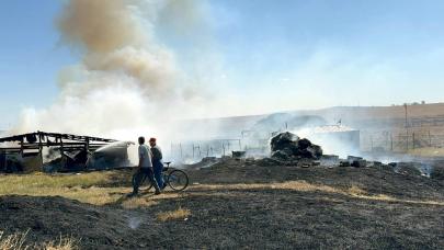 Tekirdağ'da 500 dönüm tarım arazisi küle döndü