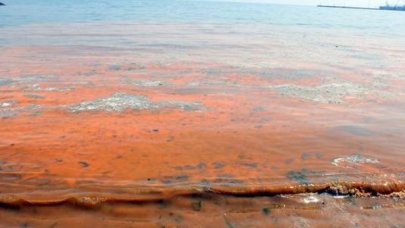 Büyükçekmece'de deniz pembeye döndü