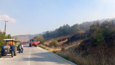 Manisa'daki orman yangını kontrol altında!