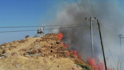 Bodrum'da otluk ve makilik yangını, ekipler söndürme çalışmalarına başladı