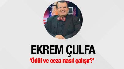 Ödül ve ceza nasıl çalışır?