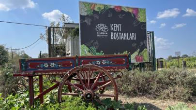 Tohum Kütüphanesi'nde üretilen 580 çeşit tohum çiftçilere ücretsiz!