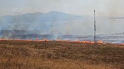 Erdek'te ot yangını: 100 dönüm alan zarar gördü, soruşturma başlatıldı