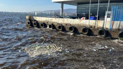 İzmir Körfezi'nde balıklar neden ölüyor?