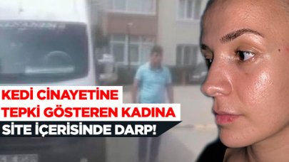 Kedi cinayetine tepki gösteren kadına darp