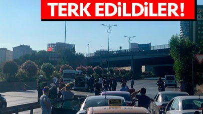 Yolun ortasında terk edildiler