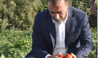 Silivri'de domates günleri