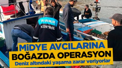 Kaçak midye avcılarına İstanbul Boğazı'nda operasyon