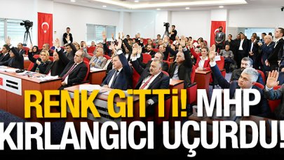 Beylikdüzü'nde kırlangıcın rengi değişti!