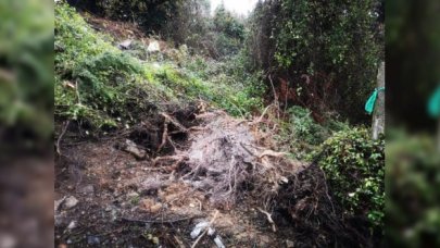 Beykoz'da toprak kaydı