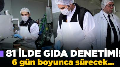 81 ilde gıda denetimleri başladı!