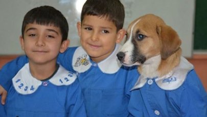 'Fındık' adlı yavru köpek öldü