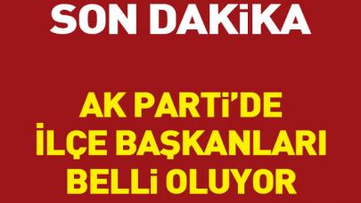 Ak Parti'de İstanbul ilçe başkanları belli oluyor