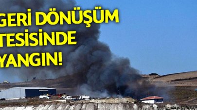 Tekirdağ'daki geri dönüşüm tesisinde yangın!