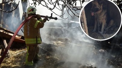 Silivri'de baraka yandı hayvanlar kurtarıldı