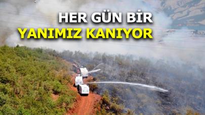 Her gün bir yanımız kanıyor