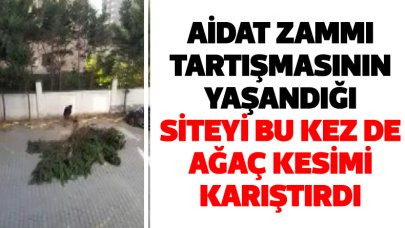 Büyükçekmece'de aidat zammının karıştırdığı site bu kez de ağaç kesimi ile gündemde