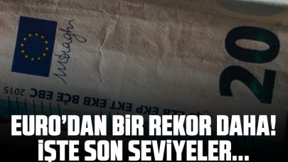 Euro'dan bir rekor daha!