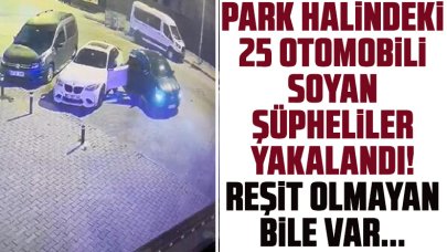 İstanbul'da 25 otomobili soyan hırsızlar yakalandı