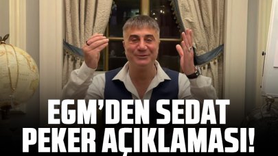 Emniyet Genel Müdürlüğü'nden gece yarısı 'Sedat Peker' açıklaması: Yasal süreç başlatıldı