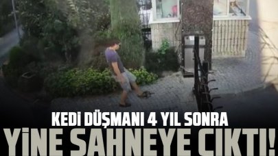 Küçükçekmece'deki kedi düşmanı 4 yıl sonra yine sahneye çıktı!