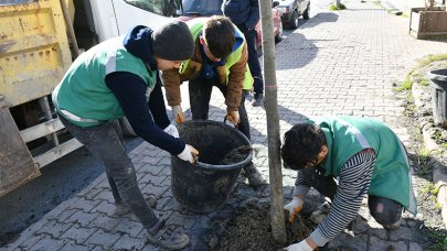 Trafiğe yeşil çözüm