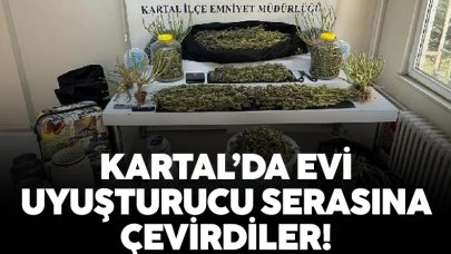 Kartal'da uyuşturucu serasına çevrilen evde kilolarca madde ele geçirildi