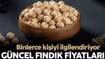 Fındık fiyatları 2 Şubat 2023! Perşembe günlük fındık fiyatı ne kadar?