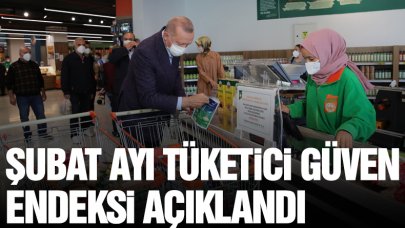 Şubat ayı tüketici güven endeksi açıklandı