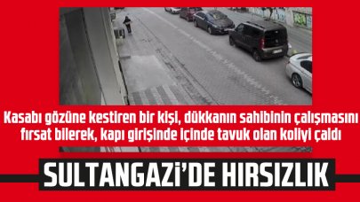 Sultangazi'de hırsız koli ile tavuk çaldı!