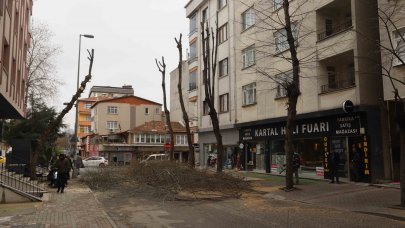 Kartal’da bahara hazırlık için binlerce ağaç budandı