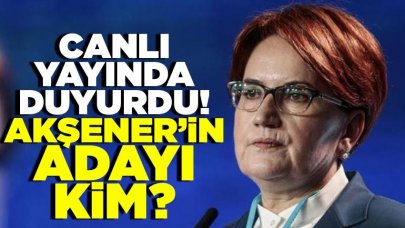 İYİ Parti'nin adayı Ersan Şen mi olacak? Meral Akşener'den flaş teklif