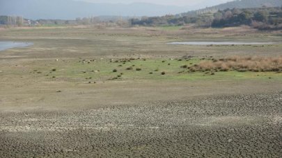 Gölet kuruma noktasına geldi, kuşlar bölgeyi terk etti