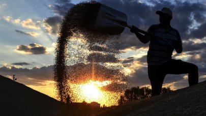 Rusya'ya hububat ve bakliyat ihracatı yüzde 586 arttı