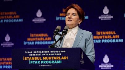 Meral Akşener'den Seyithan İzsiz Yorumu