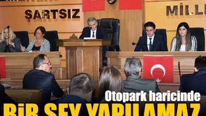 Otoparktan başka bir şey yapılamaz!