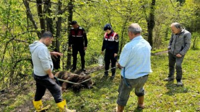 Ormanda belden aşağısı tutmaz halde bulundu